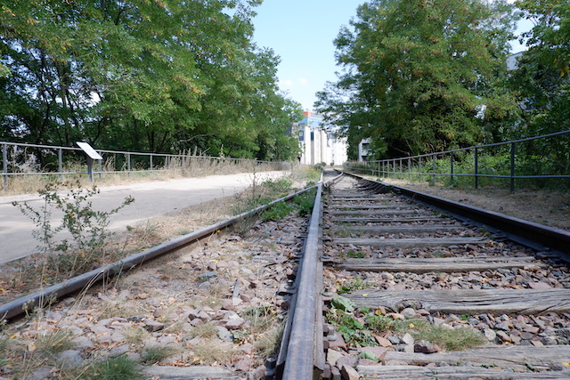 La Petite Ceinture dans le 15e / © Solenn Cordroc'h pour Enlarge your Paris