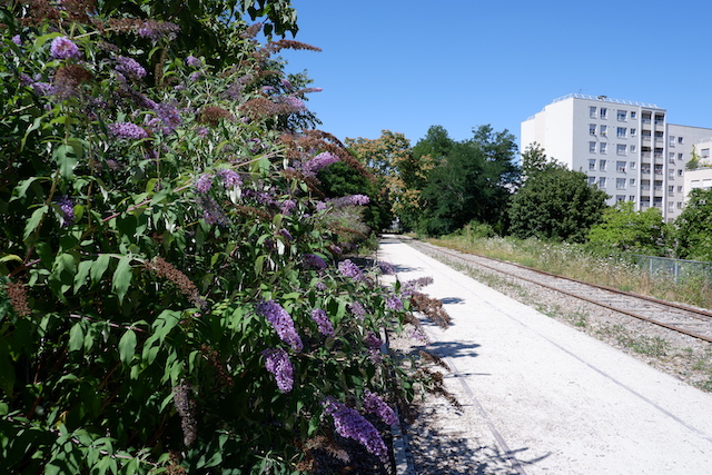 La Petite Ceinture dans le 20e / © Solenn Cordroc'h pour Enlarge your Paris