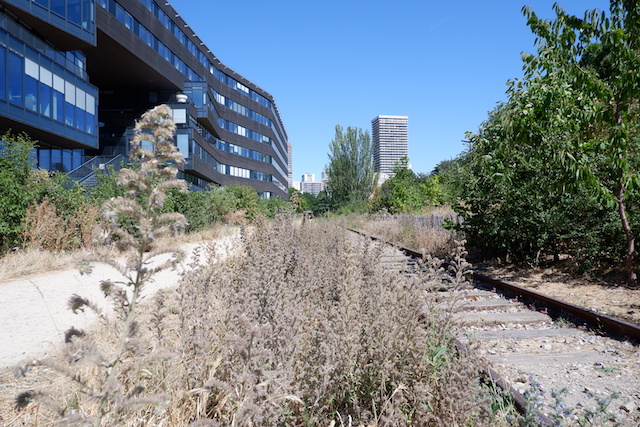 La Petite Ceinture dans le 13e / © Solenn Cordroc'h pour Enlarge your Paris