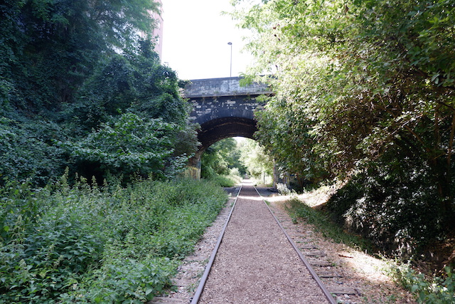 La Petite Ceinture dans le 14e / © Solenn Cordroc'h pour Enlarge your Paris