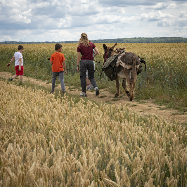 Balade dans le parc naturel du Vexin avec Ânes en Vexin / © Jérômine Derigny pour Enlarge your Paris