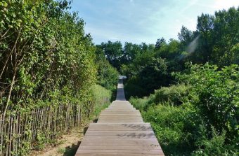 Six promenades urbaines pour visiter Paris et le Grand Paris autrement