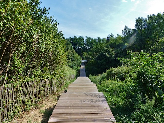 Du 13 au 30 août, Enlarge your Paris, en partenariat avec la Ville de Paris, organise un cycle de randonnées pour partir à la découverte de Paris et du Grand Paris, comme ici au parc des Guilands - Jean Moulin en Seine-Saint-Denis / © Elise Chevillard pour Allovoyages.fr (Creative commons - Flickr)