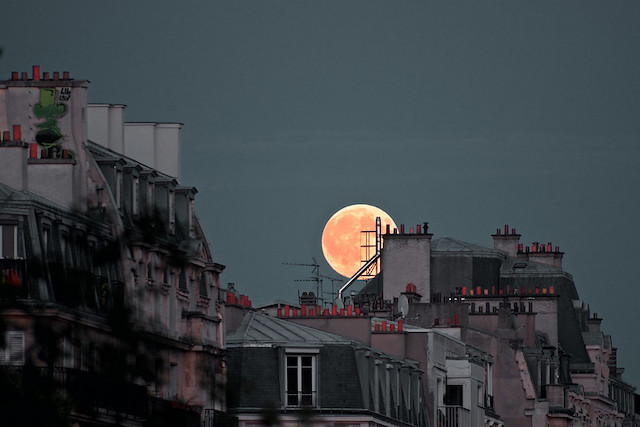 Tout l'été, l'Association française d'astronomie organise des soirées dans les parcs parisiens pour observer la voûte céleste / © Fabio Margherita (Creative commons - Flickr)