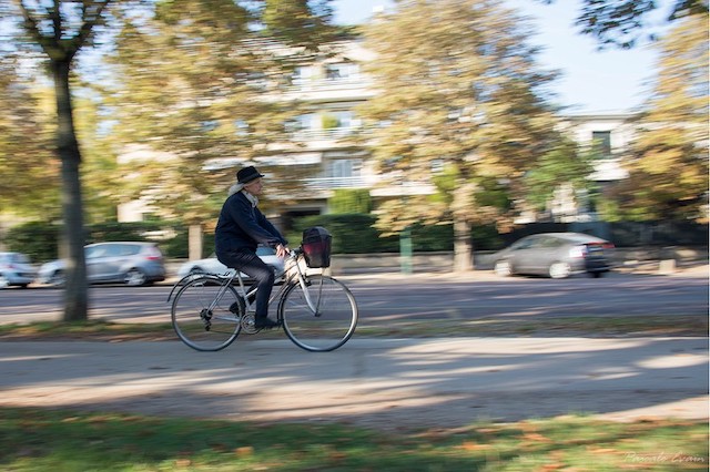En vélo à Paris / ©  Pascale EVAIN (Creative commons - Flickr)