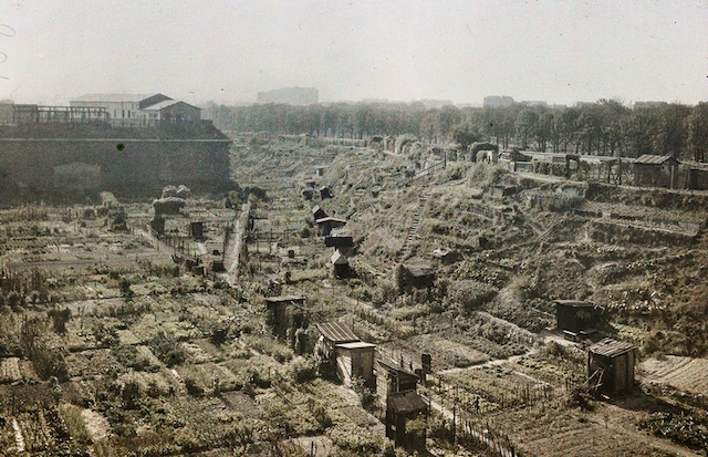 Les jardins ouvriers au pied des fortifications à Paris / © Département des Hauts-de-Seine – Musée départemental Albert-Kahn – Collection des Archives de la Planète