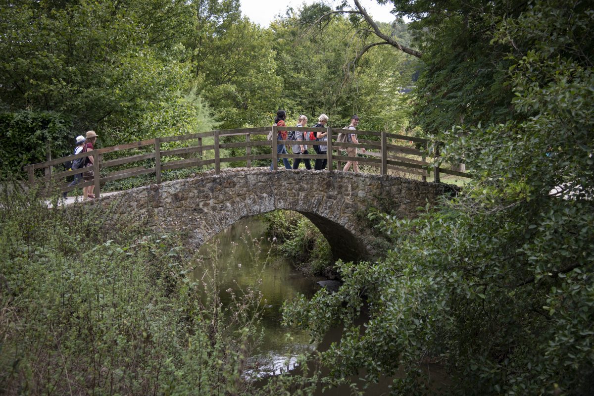 Le parc naturel de la Haute Vallée de Chevreuse dans les Yvelines, un territoire sept fois plus grand que Paris pour des échappées vertes / © Jéromine Derigny pour Enlarge your Paris