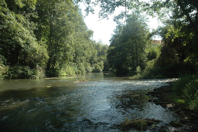 La rivière du Grand Morin dans le futur Parc naturel de la Brie et des deux Morin en Seine-et-Marne / © Gilles Raimbault (Creative commons - Flickr)