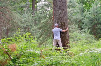 Pourquoi la nature nous fait du bien, les scientifiques expliquent