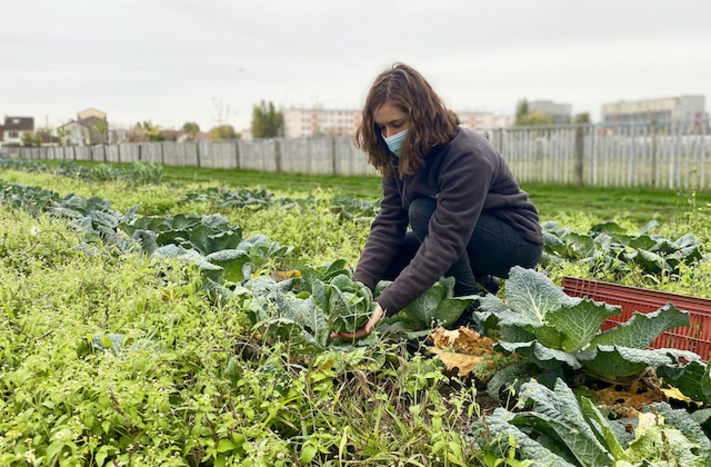 Adopte un colis à Saint-Maur chez Destock Colis