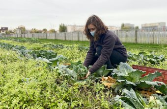 La ferme ouverte de Saint-Denis cultive une autre ville