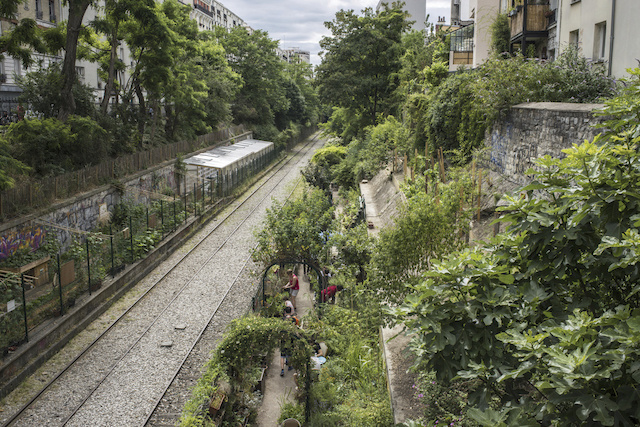 La Petite Ceinture à Paris photographiée par Jérômine Derigny, membre du jury du concours photo "Horizon partagé" organisé jusqu'au 13 janvier par Wipplay et la Société du Grand Paris / © Jérômine Derigny