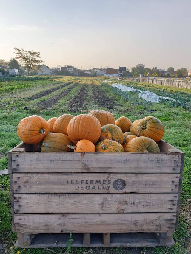 La ferme urbaine de Saint-Denis / © Ferme urbaine de Saint-Denis