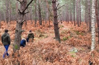 Les trois plus grandes forêts d’Île-de-France où se perdre