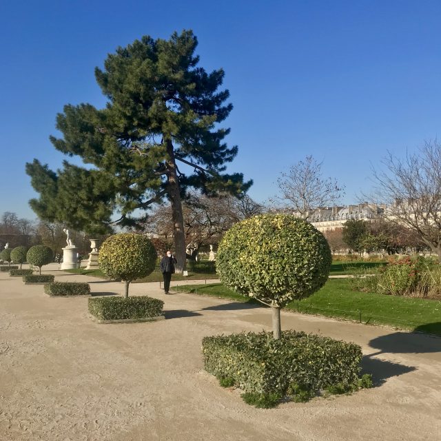 Le Jardin des Tuileries