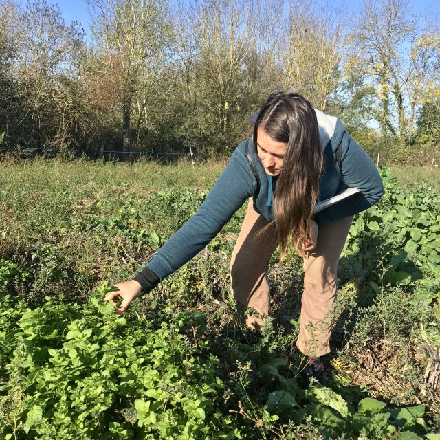 Pauline Isambert dans son exploitation les Herbes libres / © Vianney Delourme pour Enlarge your Paris