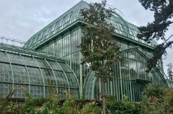 10 jardins d’hiver à portée de passe Navigo, pour survivre aux week-ends de février