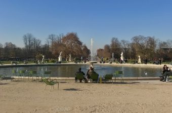 Un appel aux dons pour planter des arbres aux Tuileries à Paris