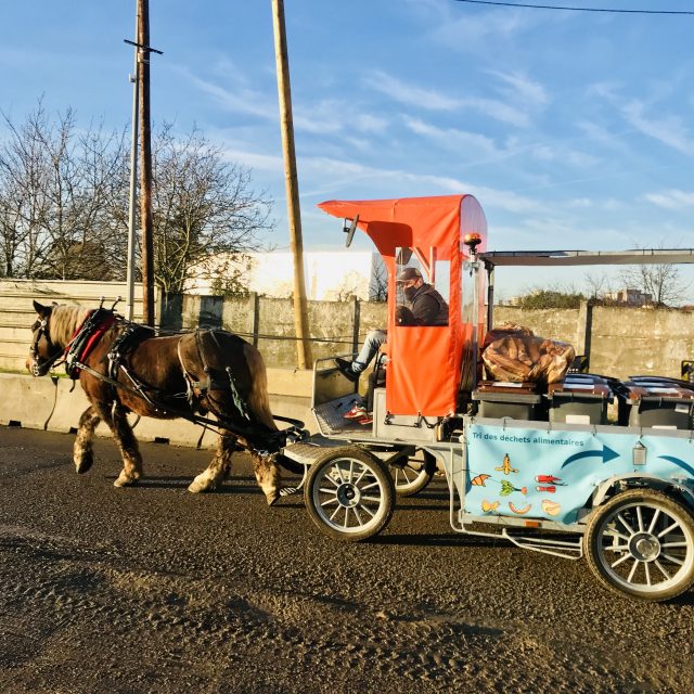 A Stains en Seine-Saint-Denis, les Alchimistes assurent une collecte des déchets alimentaires à l'aide d'un cheval / © Vianney Delourme pour Enlarge your Paris