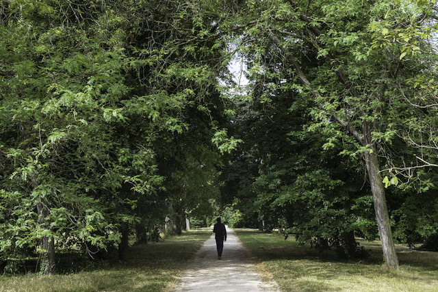 L'arboretum de Paris / © Emilie Chaix - Ville de Paris