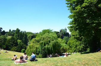 « Les arbres façonnent l’imaginaire de Paris »