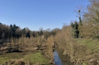 De Massy à Versailles à travers les paysages naturels du plateau de Saclay