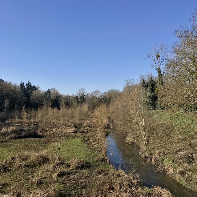 La Bièvre dans le parc de Vilgénis à Massy, point de départ de la balade / © Vianney Delourme pour Enlarge your Paris