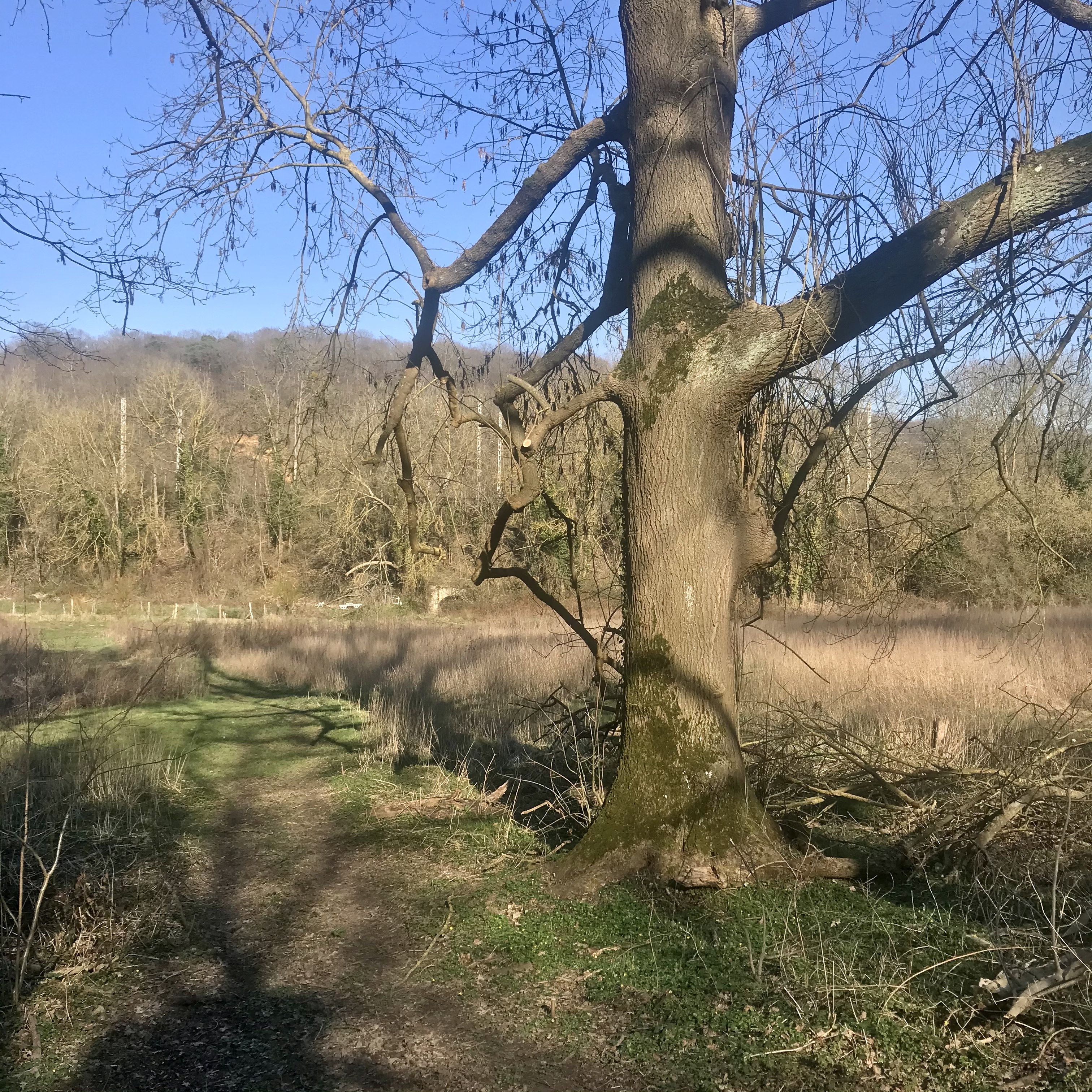 Vallée de la Bièvre, Petit Jouy. Vianney Delourme pour Enlarge your Paris