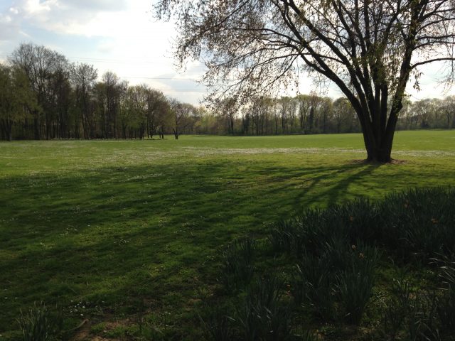 Le parc des Chanteraines / © Steve Stillman pour Enlarge your Paris