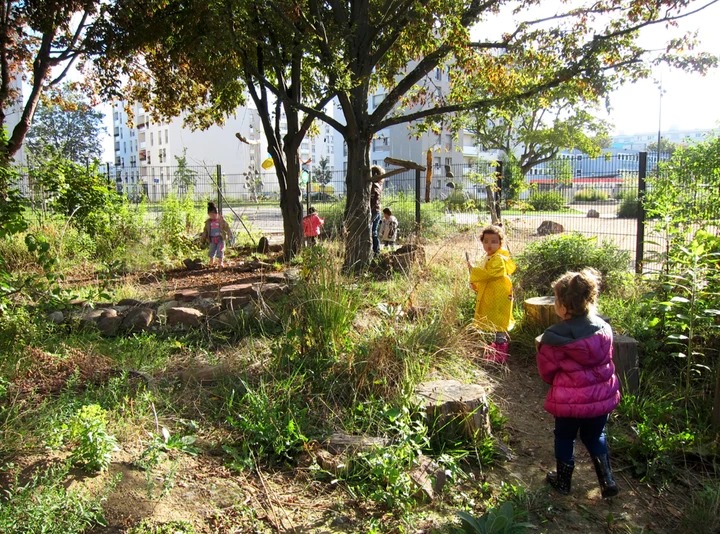 L'association Agir pour l'environnement, qui soutient de nombreuses causes comme la sensibilisation à la nature à l'école, a intégré le crowdfunding à son modèle économique / © Association L'enfant dans la nature