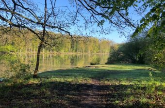 J’ai testé la chasse au trésor en forêt de Rambouillet