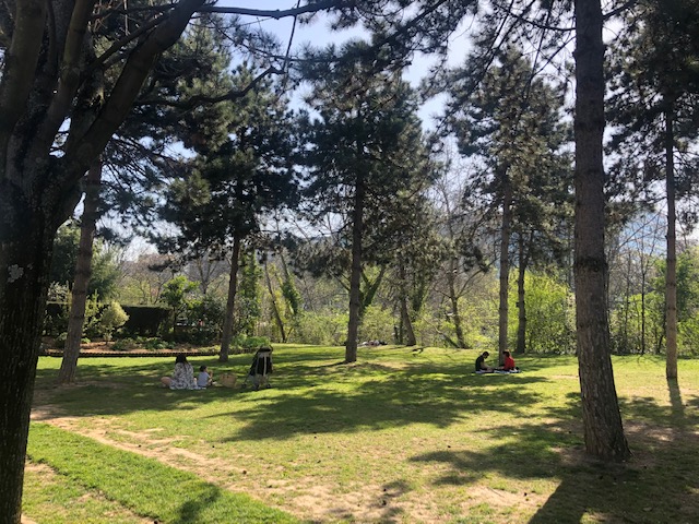 Le parc de l'île de la Jatte à Neuilly / © Steve Stillman pour Enlarge your Paris