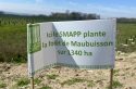 Dans le Val-d&rsquo;Oise, l&rsquo;ONF plante une forêt qui répare