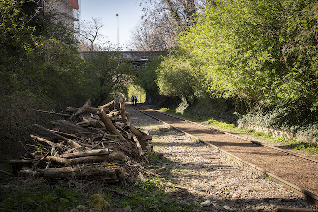 La Petite ceinture à Paris / © Jérômine Derigny pour Enlarge your Paris