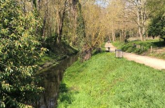 Et si on rendait leur place aux petits cours d’eau urbains ?