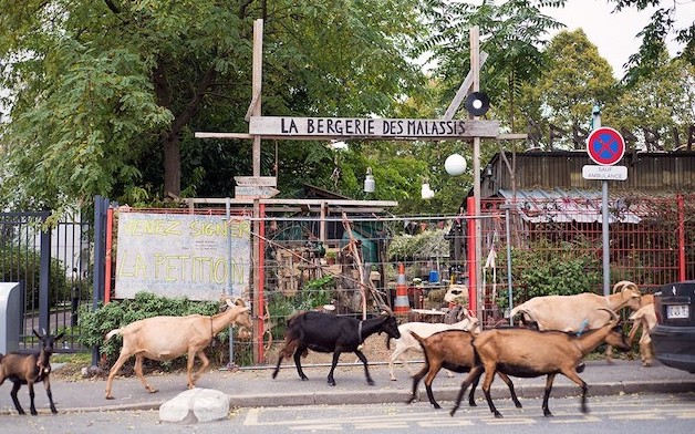 La bergerie des Malassis à Bagnolet / © Sylvie Biscioni