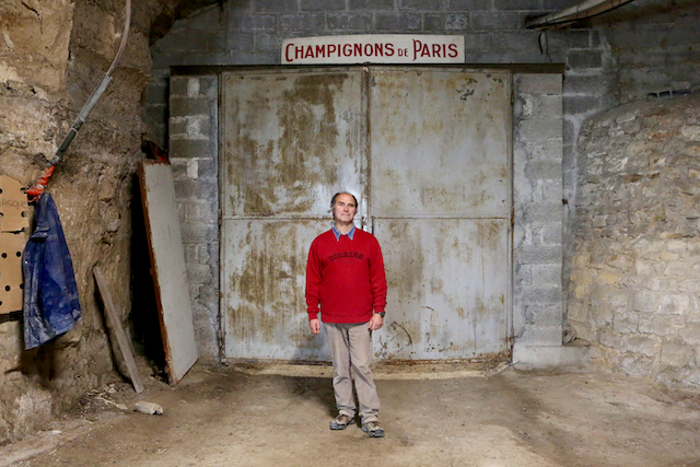 Angel Moioli, l'un des derniers champignonnistes grand-parisiens produit des champignons de Paris à Evecquemont / © Mélanie Rostagnat 