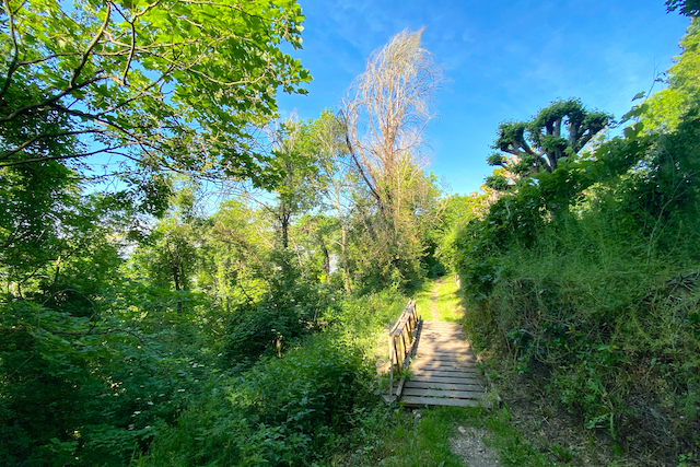 Le chemin qui mène à la champignonnière des Carrières depuis la gare de Vaux-sur-Seine / © Mélanie Rostagnat pour Enlarge your Paris 