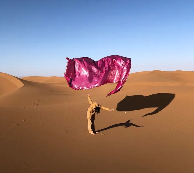 "Desert Rose", d'Ismail Zaidy, à voir dans le cadre de l'exposition "Hôtel Sahara" aux Magasins généraux à Pantin jusqu'en octobre / © Ismail Zaidy & Hanin Tarek