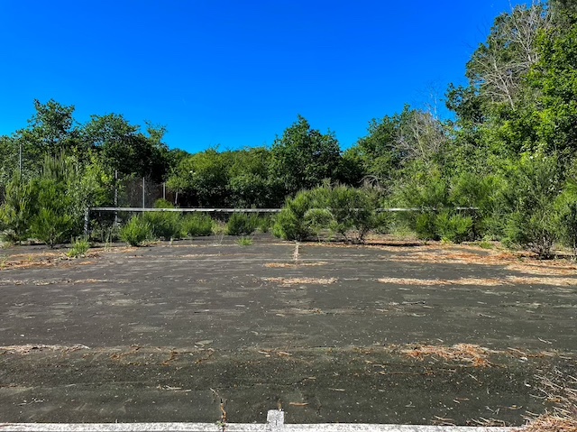 Le court où a été inventé le Jungle tennis /  © JF