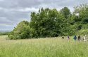 Du mont Guichet à la forêt de Bondy, le 93 est plus vert qu&rsquo;on ne le croit