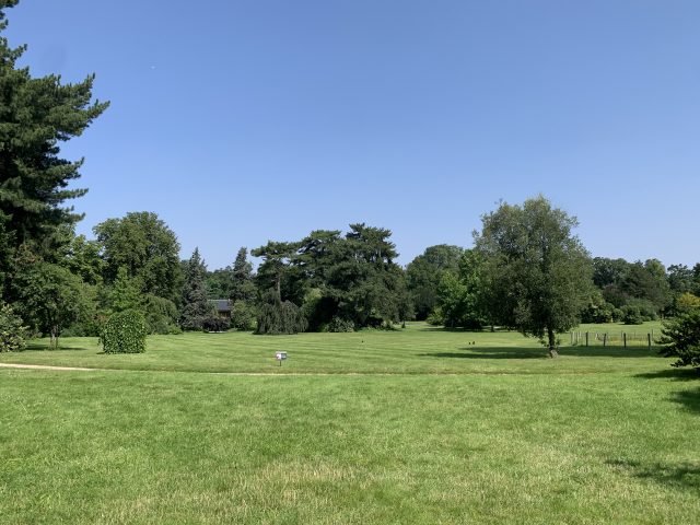 Clairière dans le bois de Boulogne / © Manon Gayet pour Enlarge your Paris