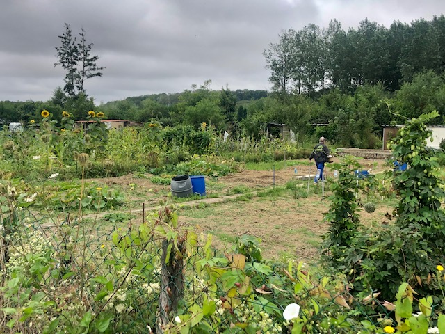 Des jardins potagers à la sortie de Provins / © Steve Stillman pour Enlarge your Paris