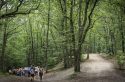 Balade sur la coulée verte forestière de l&rsquo;Ouest métropolitain