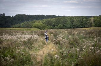 250 km à pied à travers les espaces verts du Grand Paris