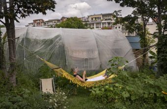 Bien-être en ville : toutes les natures ne se valent pas