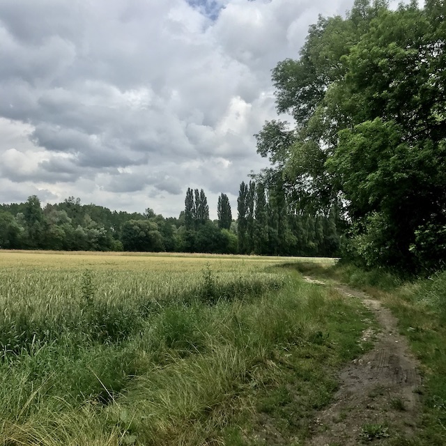 Dans la campagne seine-et-marnaise / © Vianney Delourme pour Enlarge your Paris