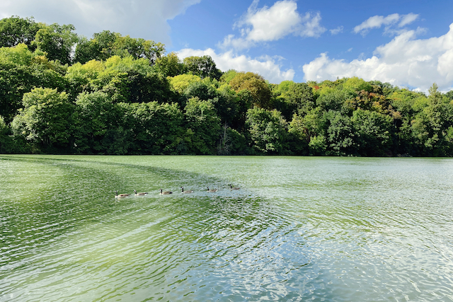 L'espace naturel des Basses Godernes / © Mélanie Rostagnat pour Enlarge your Paris