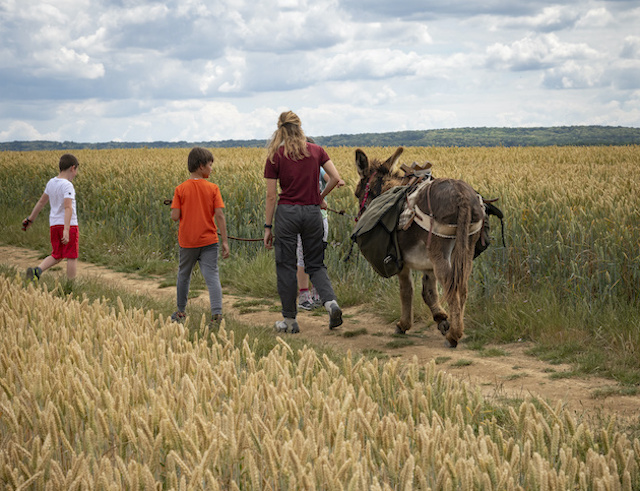 Balade dans le parc naturel du Vexin avec Ânes en Vexin / © Jérômine Derigny pour Enlarge your Paris