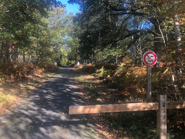 L'une des pistes cyclables de la forêt de Rambouillet / © Steve Stillman pour Enlarge your Paris